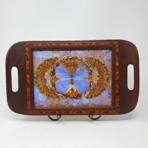 VTG Brazilian Butterfly Blue Irridescent Wing Art Wood Inlay Tray